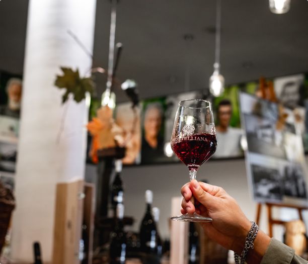 Bottega del prosecco