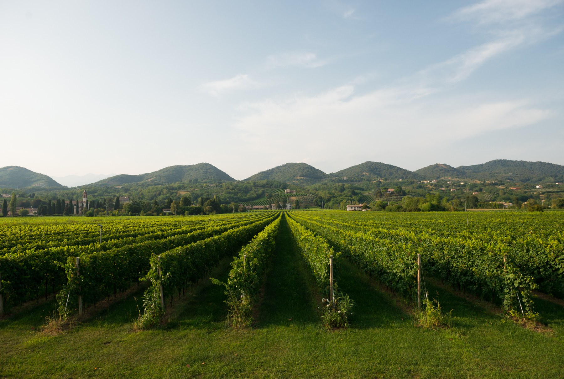 Il Territorio Il Territorio