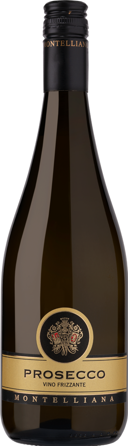 Prosecco DOC Treviso Frizzante Tappo Vite BVS